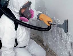 Professional Mold Inspection in Waikapu, HI